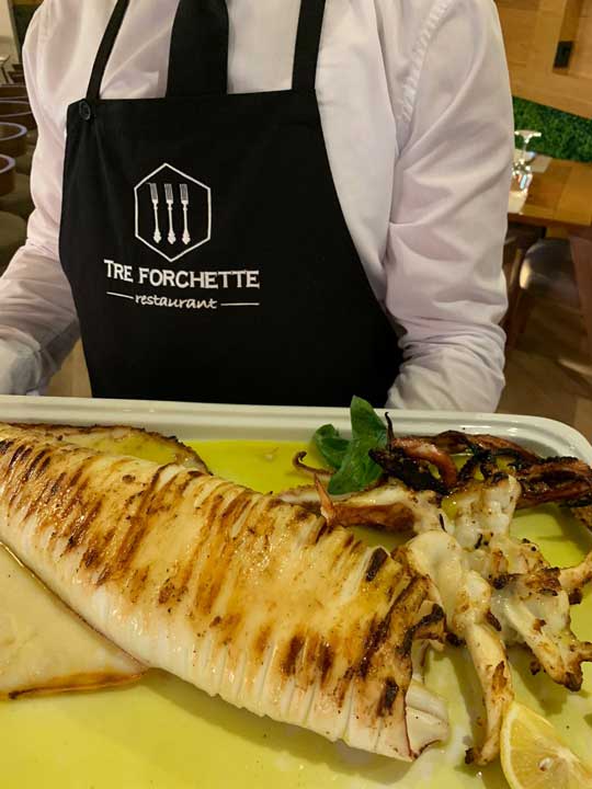 Plate with fish at Tre Forchette Restaurant in Vlore Albania