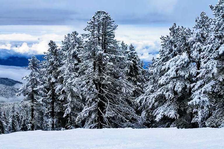 Bansko resort scenery with snow path and trees