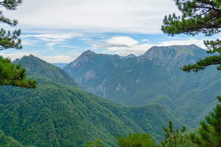 Interesting fact about Bosnia and Herzegovina is their primeval forest in Perucica.